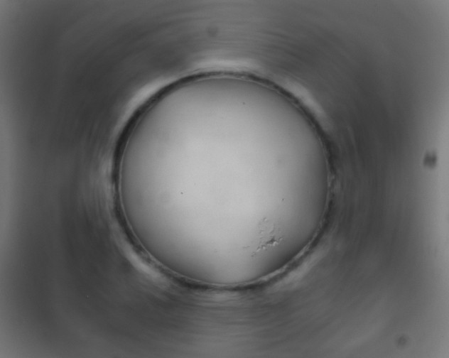 X0000102241030200807250833
