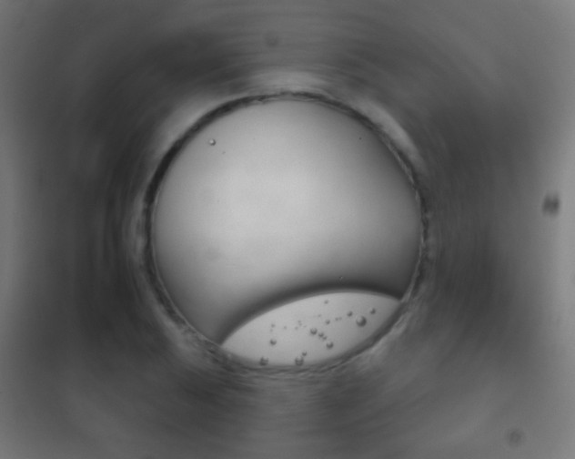X0000102241031200807250833
