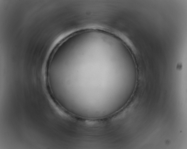 X0000102241032200807250833