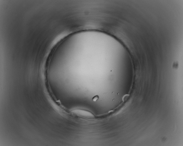 X0000102241034200807250833