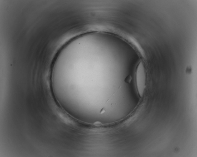 X0000102241035200807250833