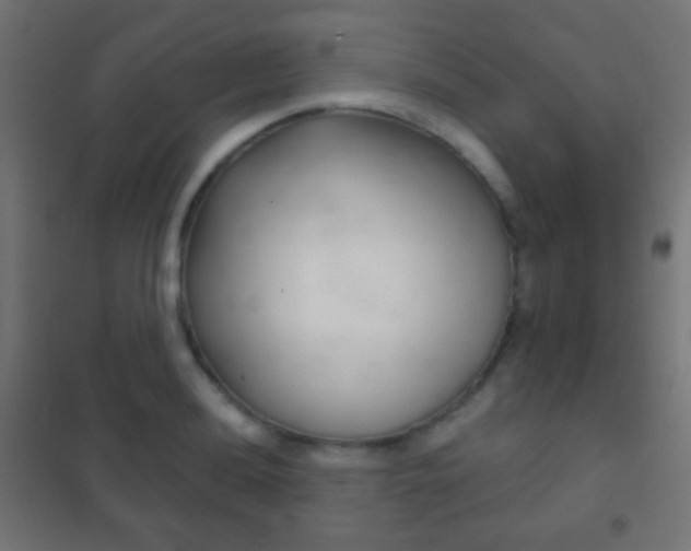 X0000102241036200807250833