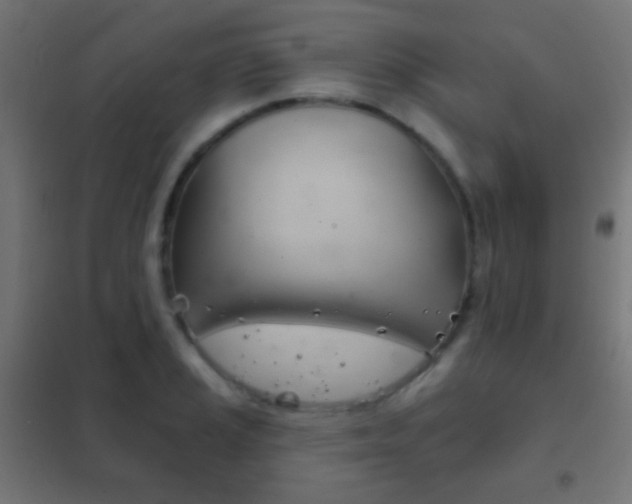 X0000102241037200807250833