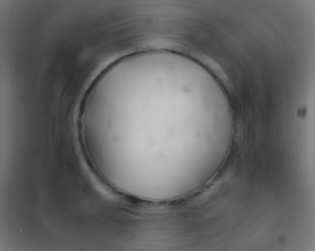 X0000102241039200807250833