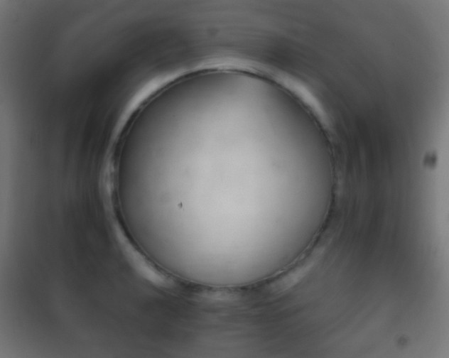X0000102241040200807250833