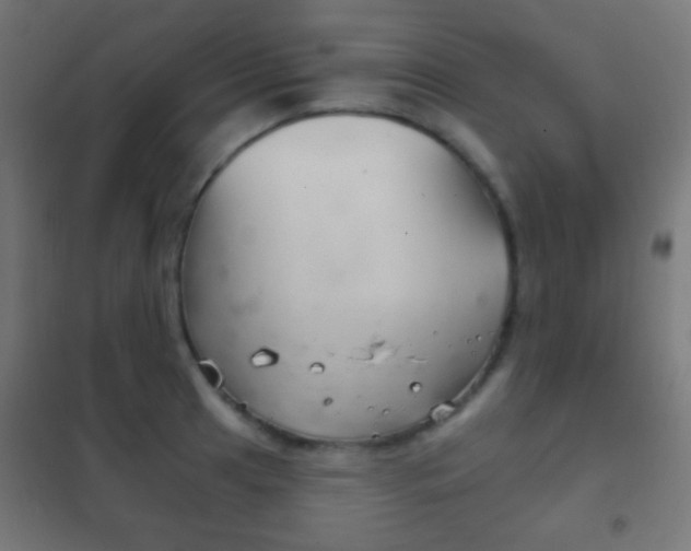 X0000102241041200807250833