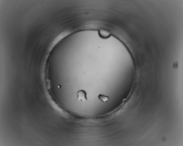 X0000102241042200807250833