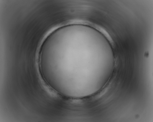 X0000102241043200807250833