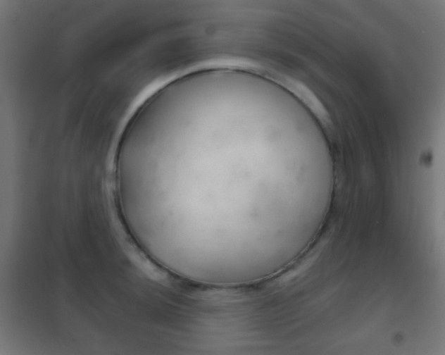 X0000102241044200807250833
