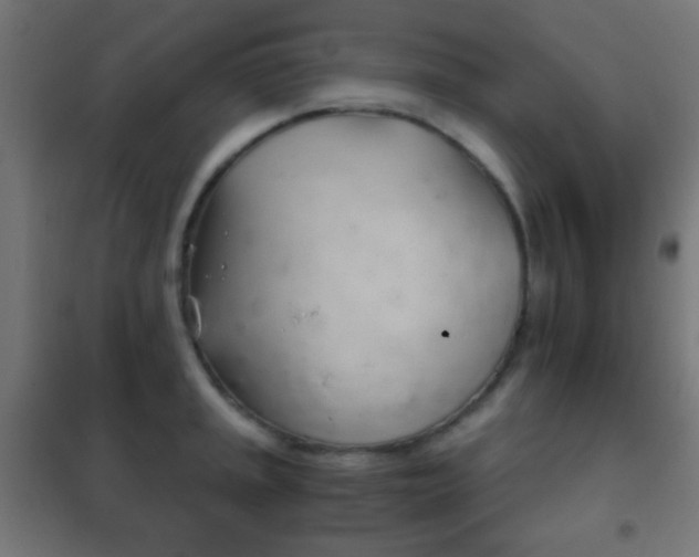 X0000102241045200807250833
