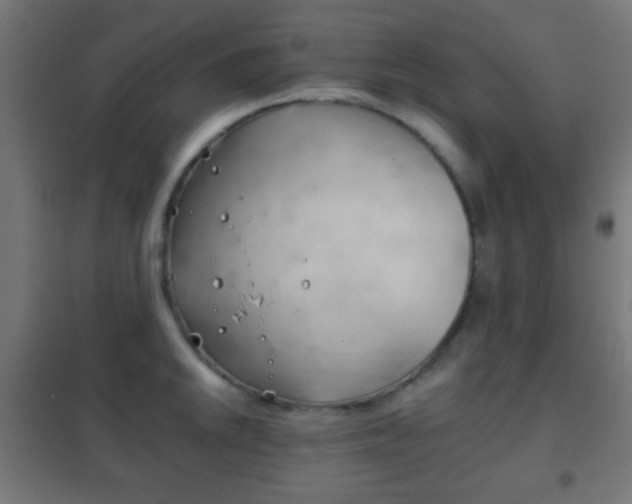 X0000102241046200807250833