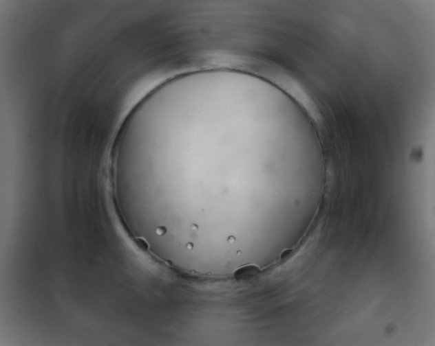 X0000102241047200807250833