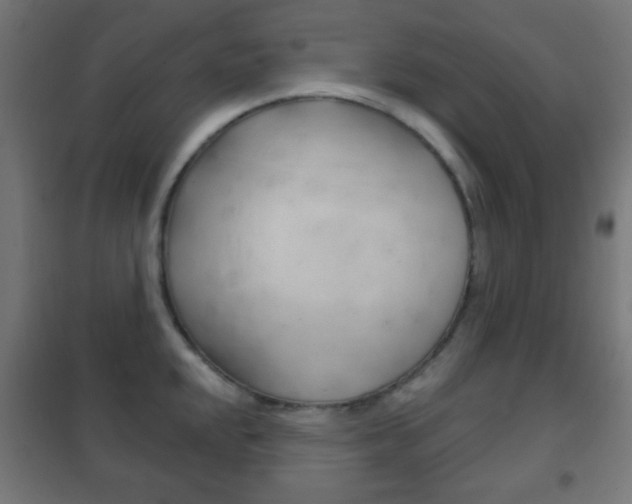 X0000102241048200807250833