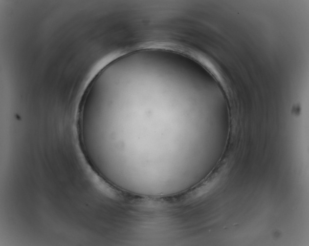 X0000102241050200807250833