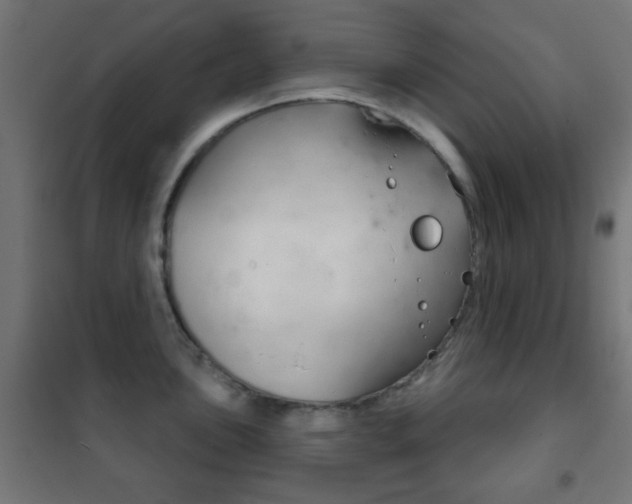X0000102241051200807250833