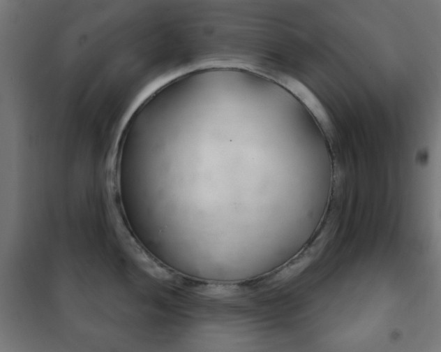 X0000102241052200807250833