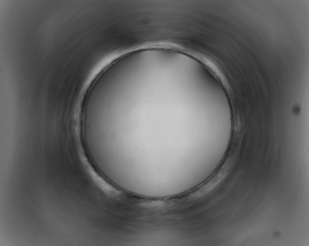 X0000102241054200807250833