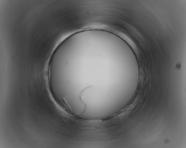 X0000102241055200807250833