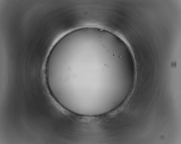 X0000102241056200807250833