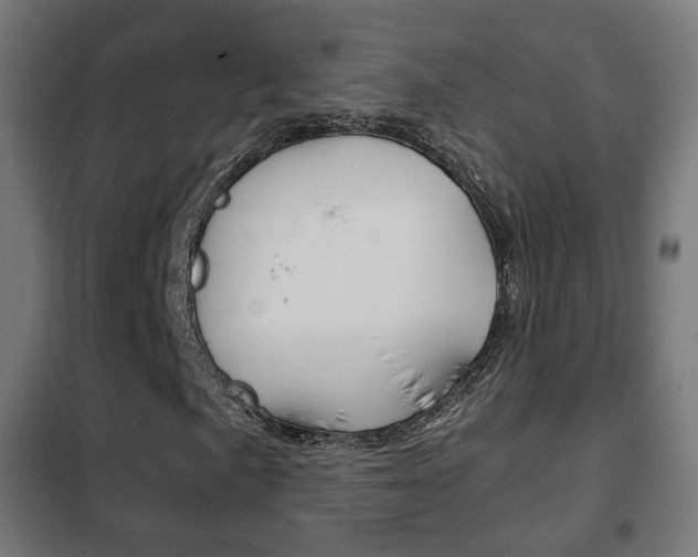 X0000102241057200807250832