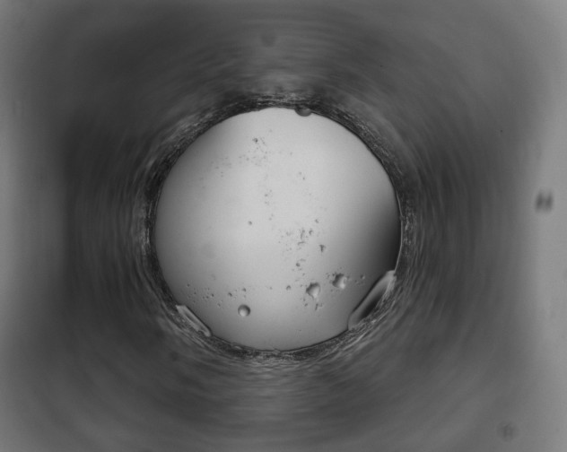 X0000102241058200807250832