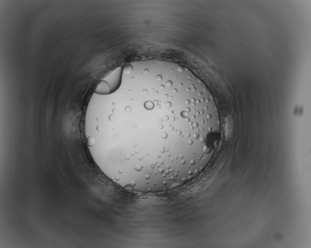 X0000102241059200807250832