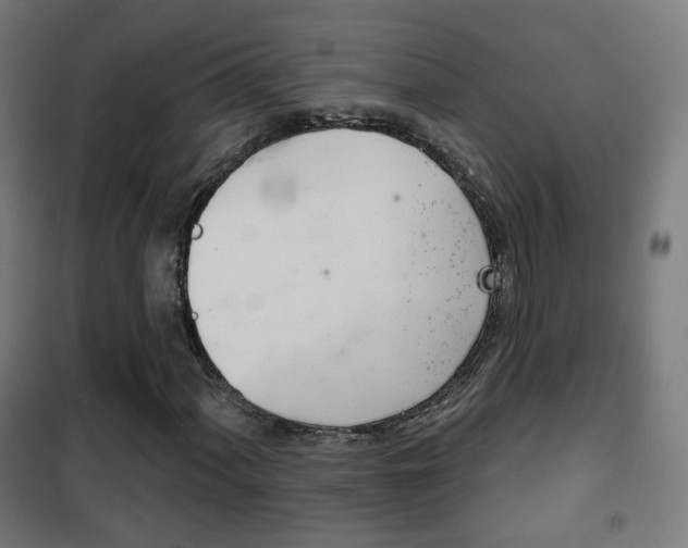 X0000102241060200807250832