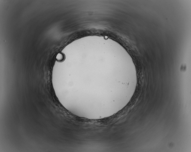 X0000102241061200807250832
