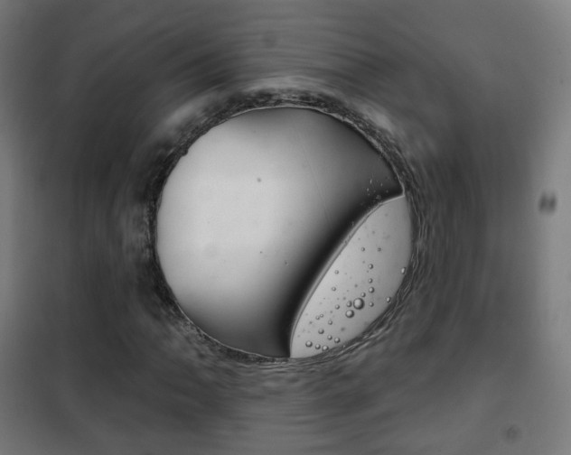 X0000102241062200807250832