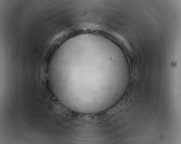 X0000102241063200807250832