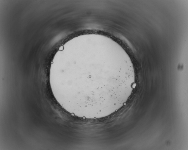 X0000102241064200807250832