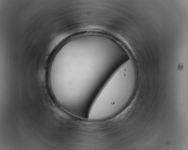 X0000102241066200807250832
