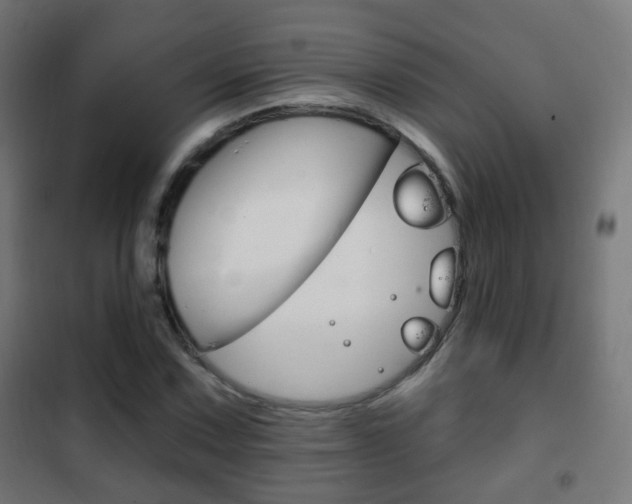 X0000102241067200807250832