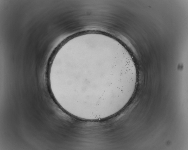 X0000102241068200807250832