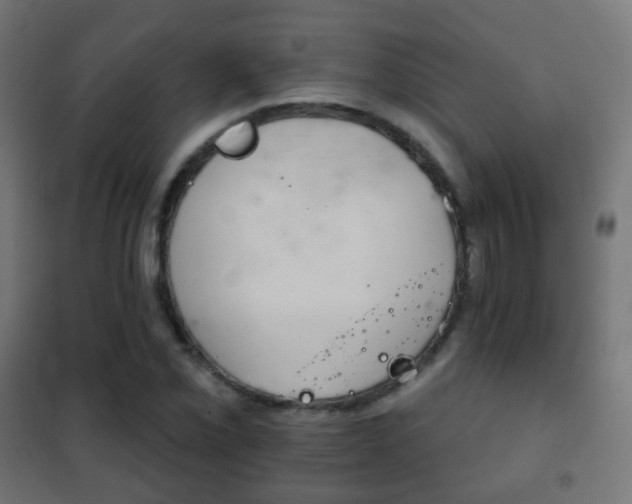 X0000102241069200807250832