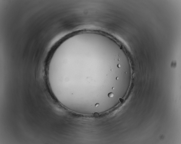X0000102241070200807250832