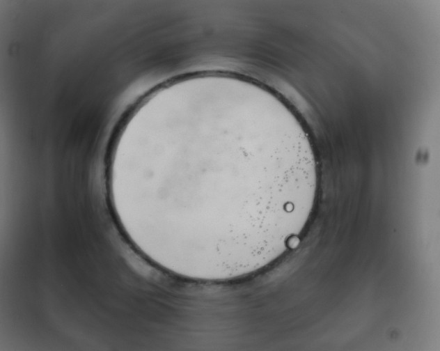 X0000102241072200807250832