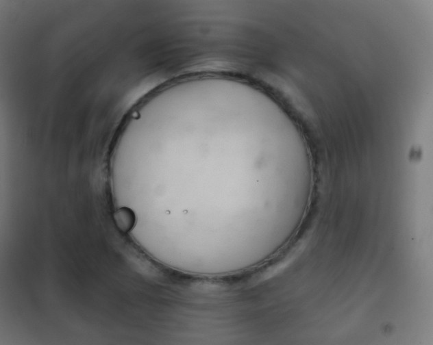 X0000102241073200807250832
