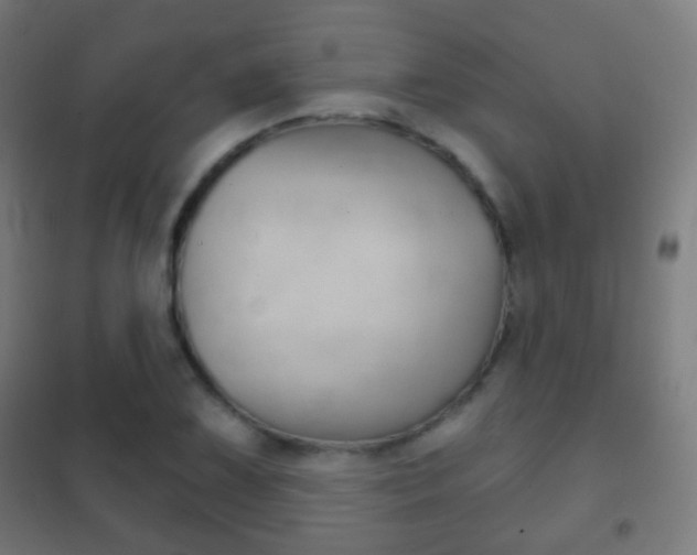 X0000102241075200807250832