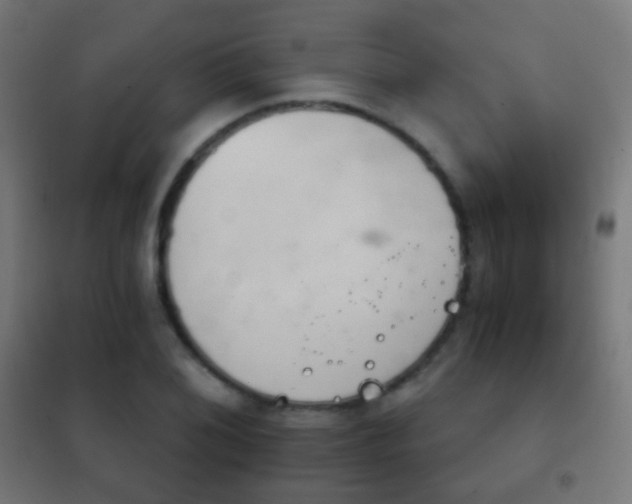 X0000102241076200807250832