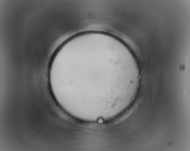 X0000102241077200807250832