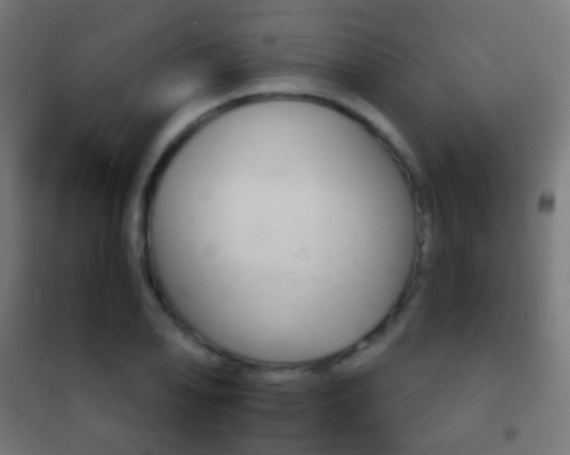 X0000102241078200807250832