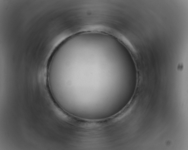 X0000102241079200807250832