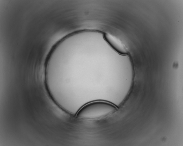 X0000102241080200807250832