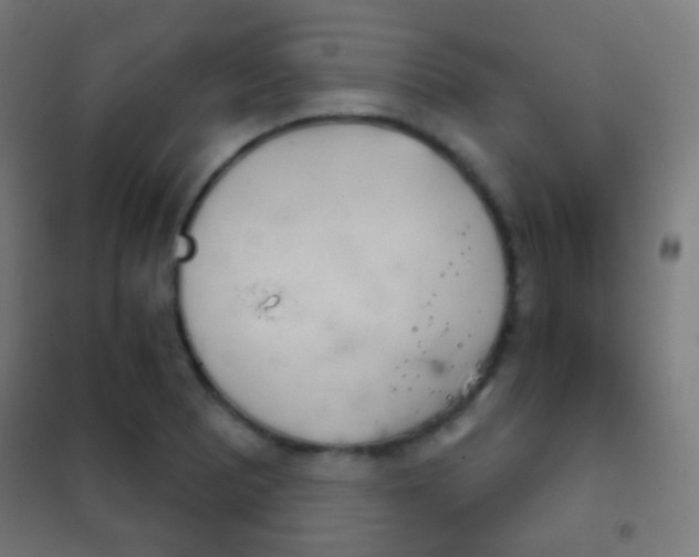 X0000102241081200807250832