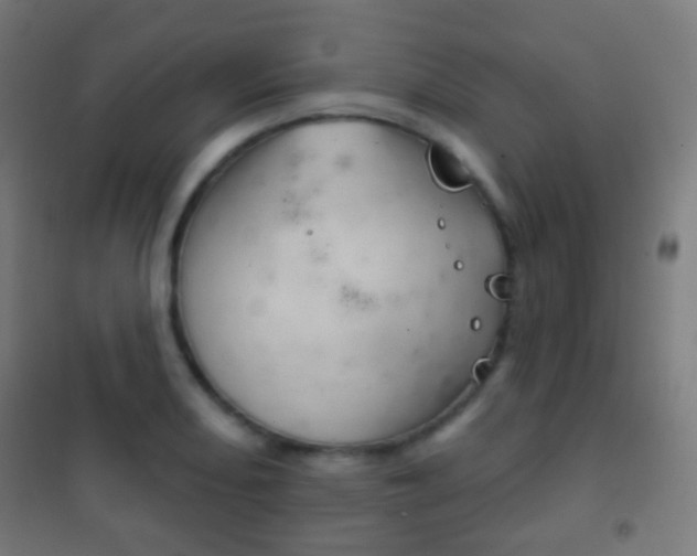 X0000102241082200807250832