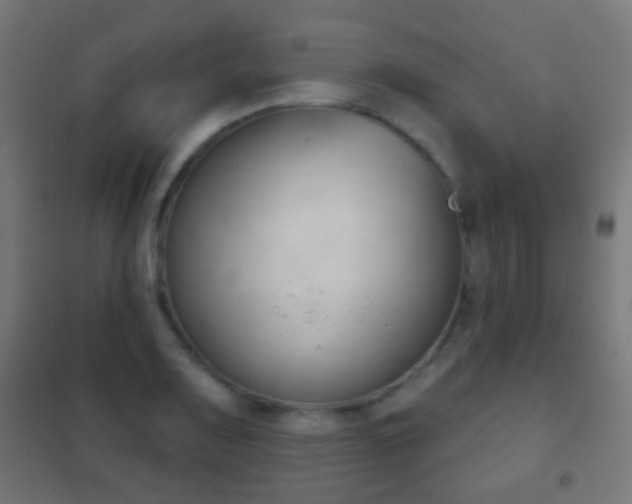 X0000102241083200807250832