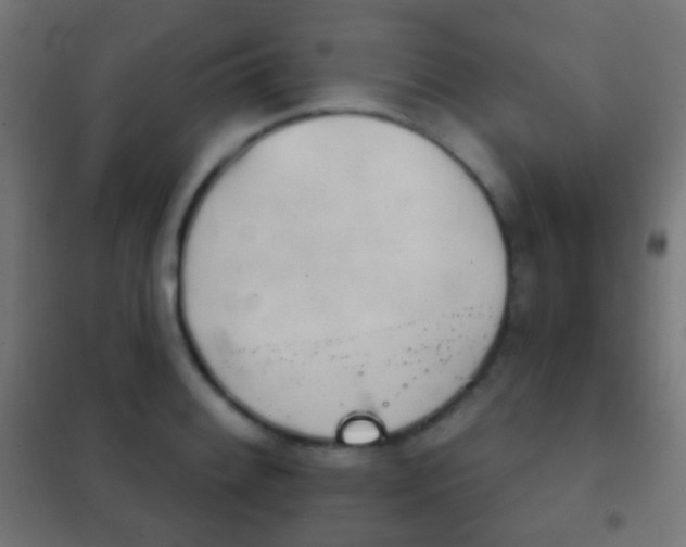 X0000102241084200807250832