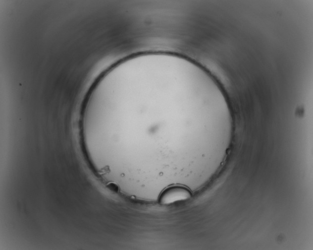 X0000102241085200807250832