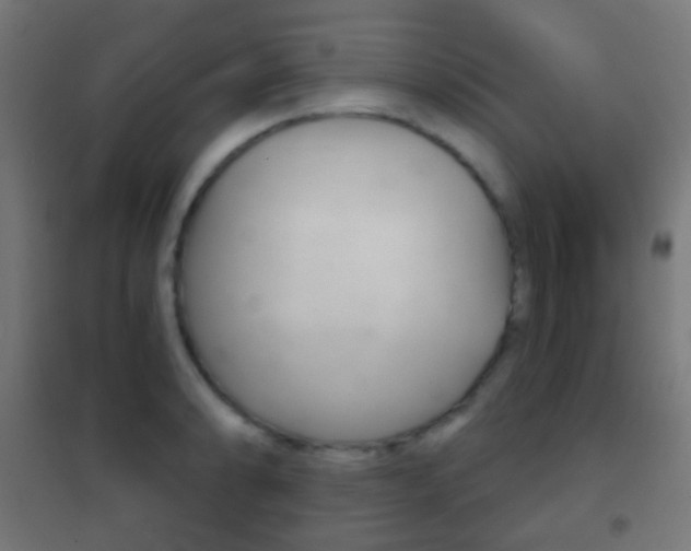 X0000102241086200807250832